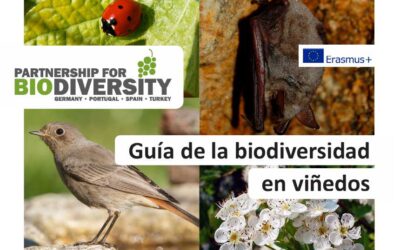 Guía de la biodiversidad en viñedos