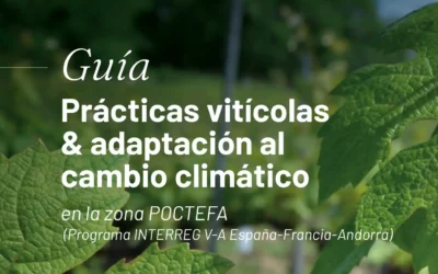 Guia de prácticas vitícolas y adaptación al cambio climático – VITISAD (I)